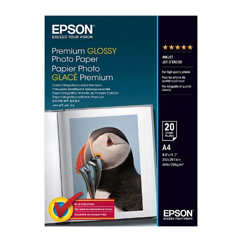Picture of Epson S041287 Glossy Paper A4