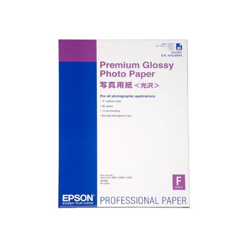 Picture of Epson S042091 Photo Paper